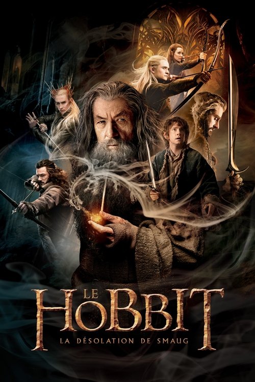 Affiche de Le Hobbit : La Désolation de Smaug